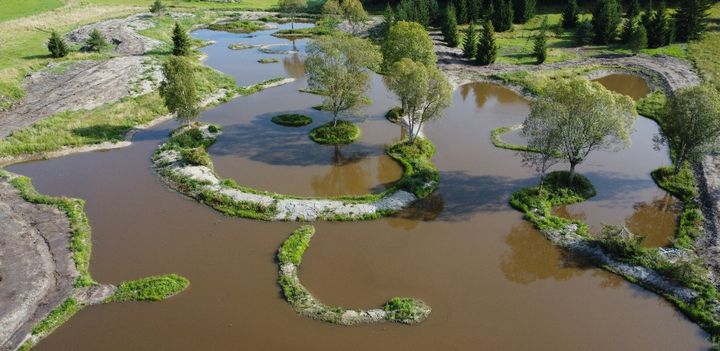 kosteikko yläkuvakulmasta
