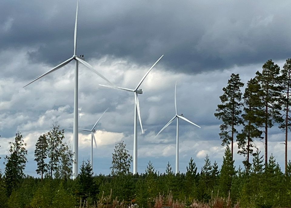 Kainuun ELY-keskuksen Perusteltu Päätelmä Varsavaaran ...