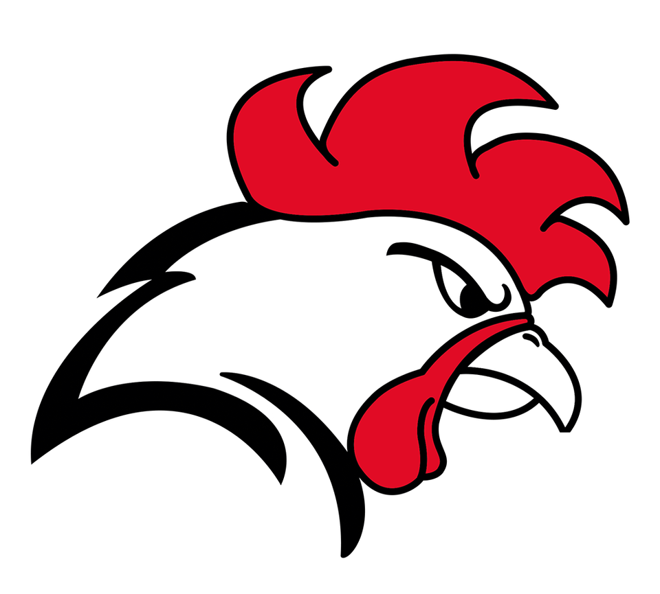 Helsinki Roosters