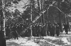 Stadionin rakennustöiden käynnistyminen 12.2.1934. Ensimmäinen puu kaatumassa. Kuva Stadion-säätiö.