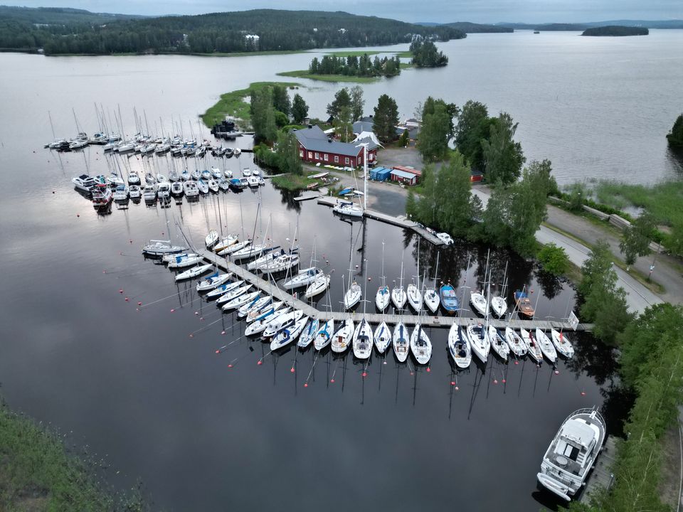 Säynätsalo, Juurikkasaari