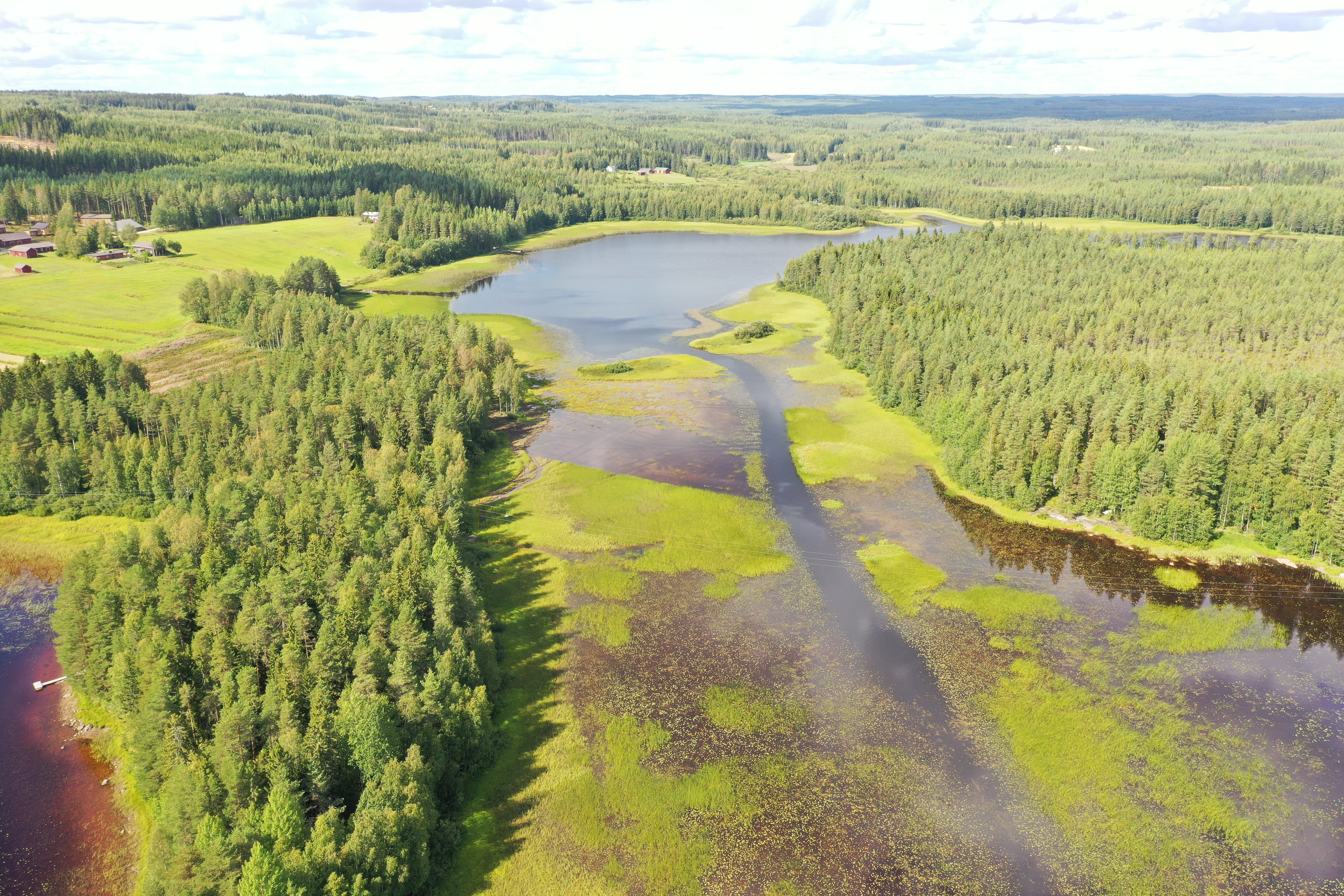 Keski-Suomen ELY-keskus jakoi avustuksia vesistöjen kunnostukseen | Keski-Suomen  ELY-keskus