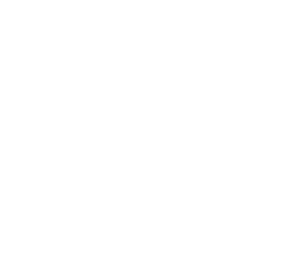 RIL_logo_valk