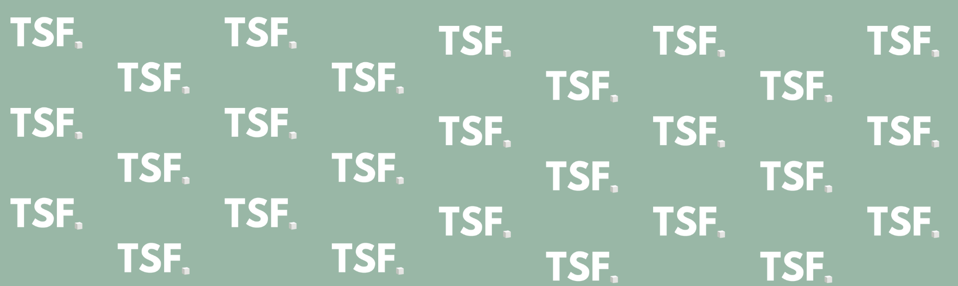 TSF – Thermal Storage Finland