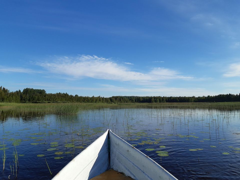 Hoitokalastukset alkaneet Helmi-lintuvesillä | Keski-Suomen ELY-keskus