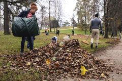 Haravoinnin riemua Kaivopuiston haravointitalkoissa lokakuussa 2021. Kuva: Roni Rekomaa