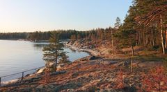 Nuottasaaren ranta. Nuottasaari sijaitsee Uutelan ulkoilualueen edustalla. Kuva: Helsingin kaupunki.