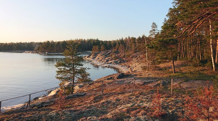 Nuottasaaren ranta. Nuottasaari sijaitsee Uutelan ulkoilualueen edustalla. Kuva: Helsingin kaupunki.