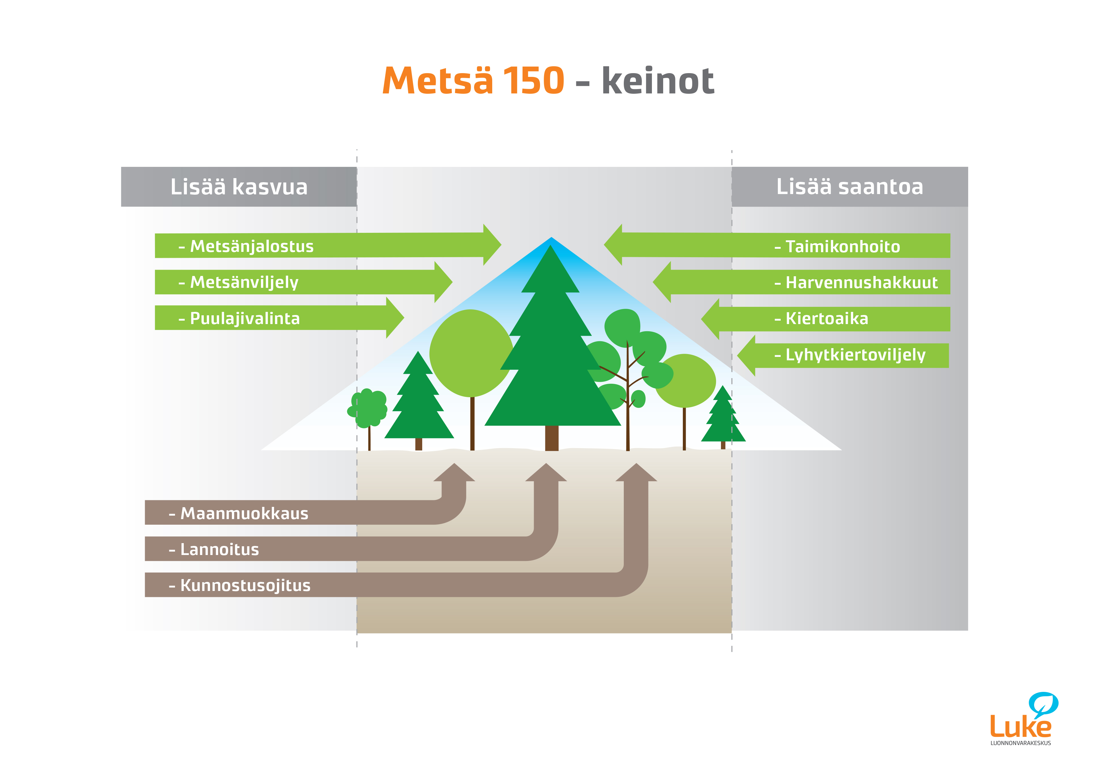 Metsien kasvu 150 miljoonaa kuutiometriä vuodessa – mahdollista? |  Luonnonvarakeskus