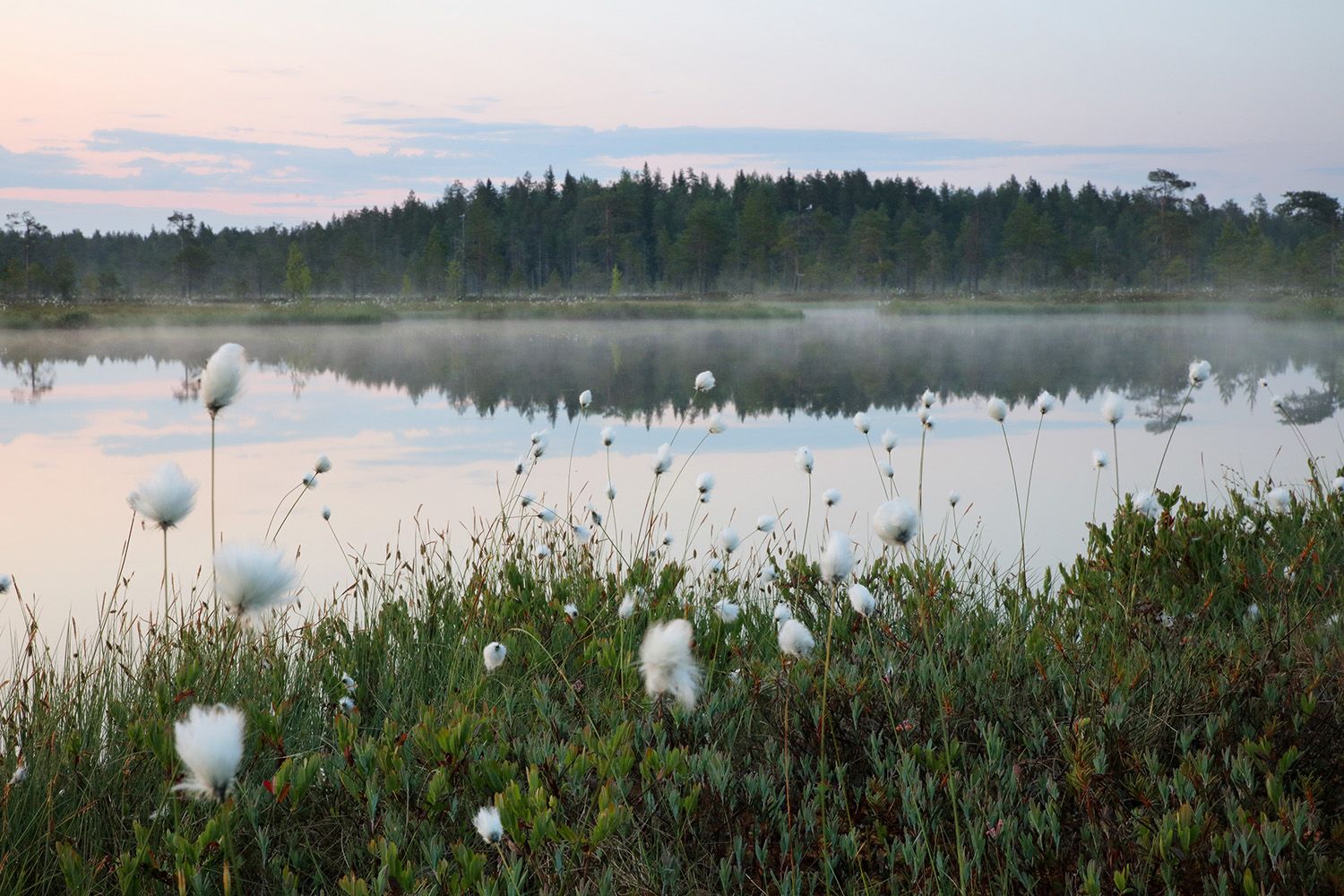 Luonnonperintösäätiö sr