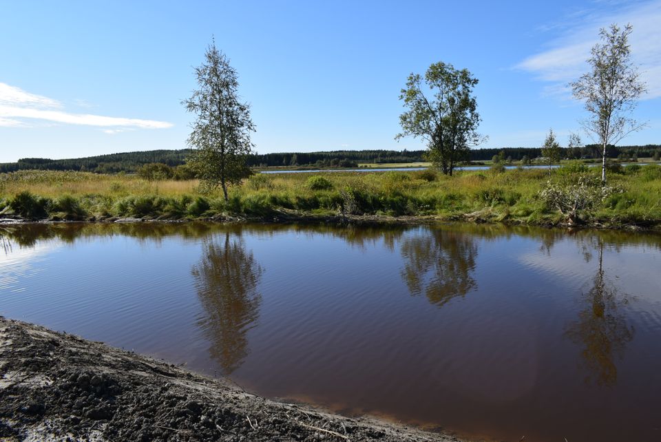 Ympäristöavustukset Haettavissa | Kaakkois-Suomen ELY-keskus