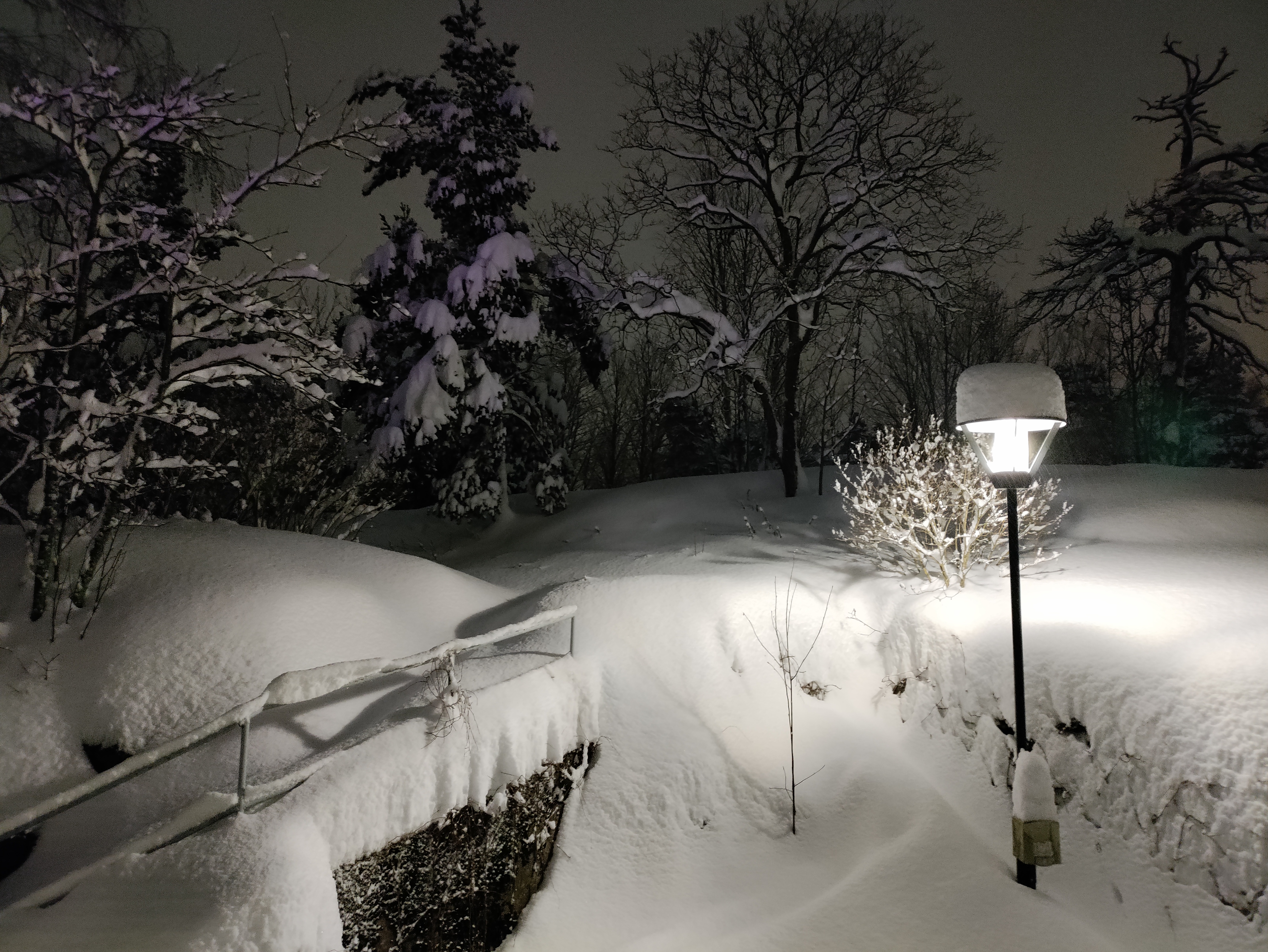 Lumikuorma ajankohtaan nähden harvinainen etelärannikolla – kuplahallien  kattoja tarkkailtava | Suomen ympäristökeskus