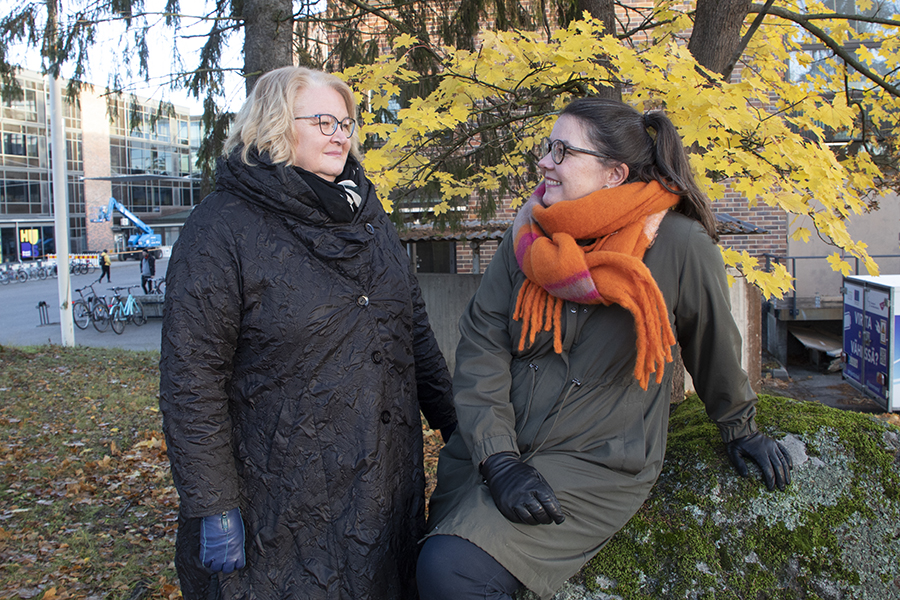 Terveyden Edistämisen Ylempi Tutkinto-ohjelma Antaa Osaamisen ...