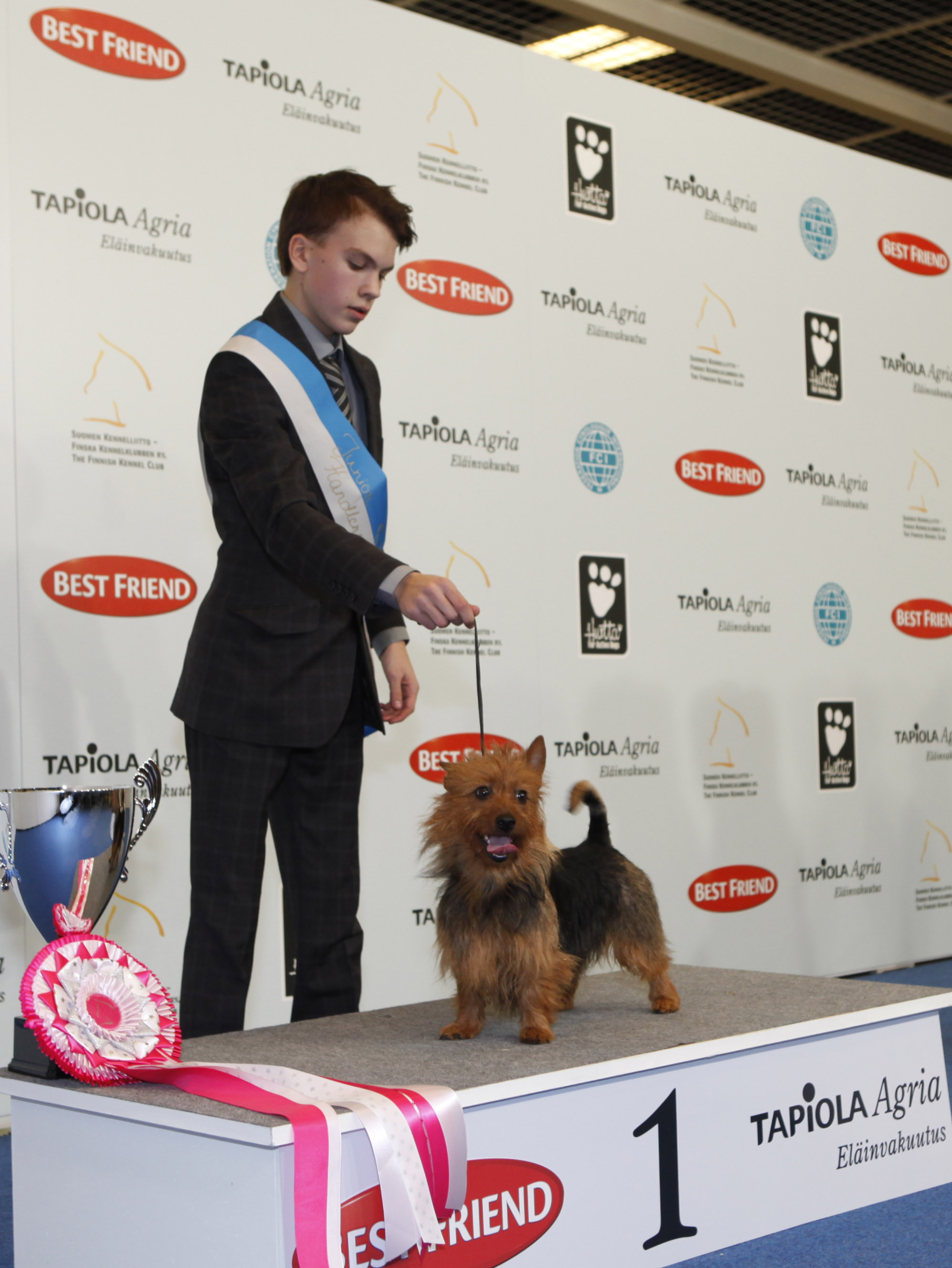 Helsingissä järjestettiin viikonloppuna maailman suurimmat koiranäyttelyt -  STT INFO KUVA (KUVAT) | Suomen Kennelliitto ry