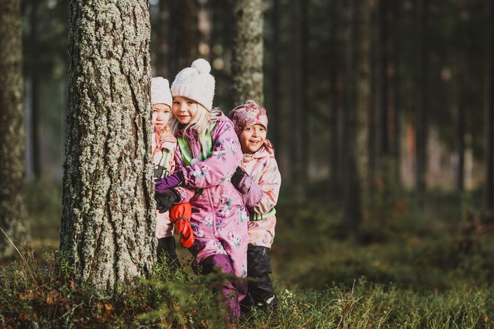 Kolme lasta leikkimässä metsässä puiden keskellä.