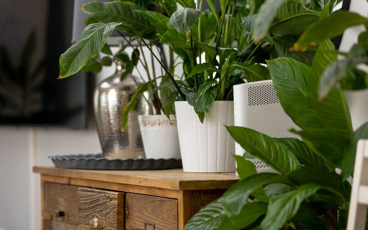 Vaikka netti vaikuttaisi toimivan normaalisti, vanhentunut tai huonosti ylläpidetty reititin voi altistaa koko kotiverkon vakaville tietoturvariskeille.