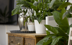 Vaikka netti vaikuttaisi toimivan normaalisti, vanhentunut tai huonosti ylläpidetty reititin voi altistaa koko kotiverkon vakaville tietoturvariskeille.