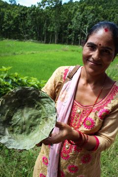 Salpuiden lehdistä valmistetut lautaset tarjoavat naisille lisätulonlähteen Nepalissa. Tämä ympäristöystävällinen innovaatio tukee kestävää kehitystä ja luo uusia liiketoimintamahdollisuuksia maaseudulla.