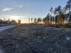 Perhetalo II -alueen paljas, vielä rakentamaton tontti ja hieman metsää tien varressa.