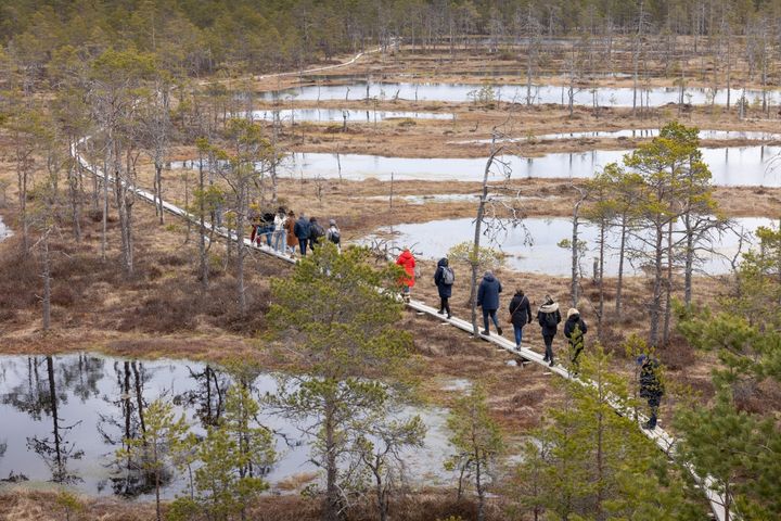 Syyslomalle kannattaa pakata mukaan hyvät kävelykengät, sillä Viron syksyisestä luonnosta pääsee nauttimaan niin kansallispuiston erämaissa kuin pääkaupungin sydämessä.