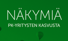 Näkymiä pk-yritysten kasvusta, syksy 2024