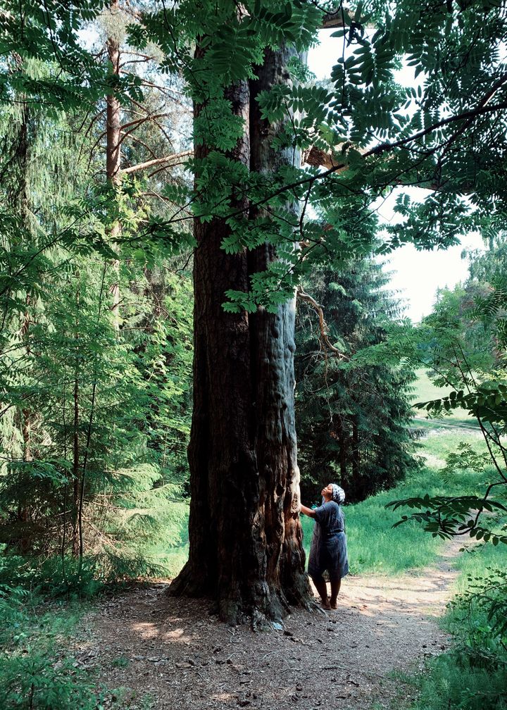 Inför utställningen företog Dineo Seshee Raisibe Bopape flera resor på fältet i Finland.