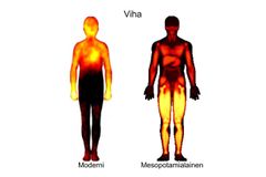 Vasemmalla moderni, oikealla muinaisen Mesopotamian vihan kehokartta.