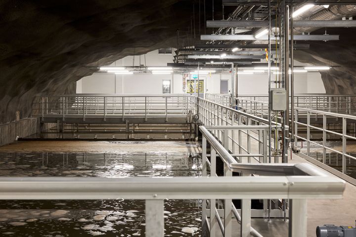 Viikinmäen ja Blominmäen jätevedenpuhdistamoilla käsitellään päivittäin yhteensä noin 400 000 kuutiometriä jätevettä.