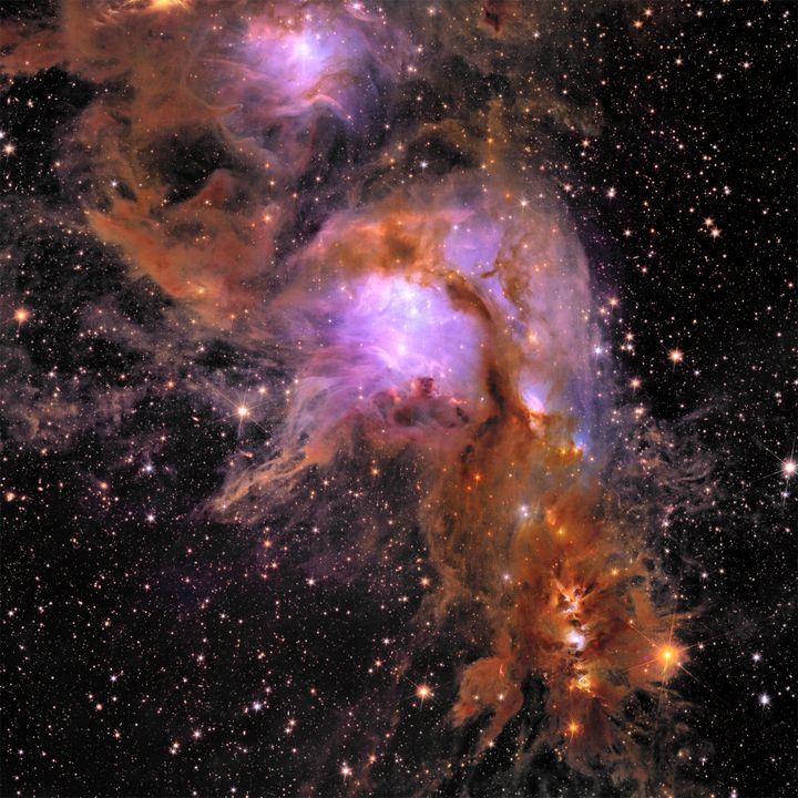 Kuva1: Messier 78 tähtienmuodostusalue 1300 valovuoden etäisyydellä. Kuvassa näkyy tomun ympäröimä tähtienmuodostusalue, jossa syntyy aktiivisesti uusia tähtiä ja planeettoja. Euclidin infrapunakamera näkee syvemmälle sumun sisään kuin näkyvän valon alueella on mahdollista nähdä, mikä on auttanut paljastamaan tästä kuvasta yli 300000 kohdetta. Osa havaituista kohteista on alle 10 % Auringon massaisia, fuusioon kykenemättömiä substellaarisia kohteita, joiden lukumäärän selvittäminen suhteessa tähtiin on tärkeä osa pimeän aineen määrän määrittämisessä.  Kuva: ESA/Euclid/Euclid Consortium/NASA, image processing by J.-C. Cuillandre (CEA Paris-Saclay), G. Anselmi; CC BY-SA 3.0 IGO or ESA Standard Licence.