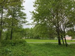 Vehreässä puistossa on puita ja nurmikkoa.