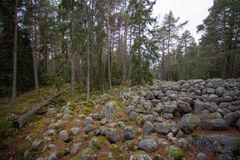 Muinaisrantakivikko Meri-Rastilan luonnonsuojelualueella.