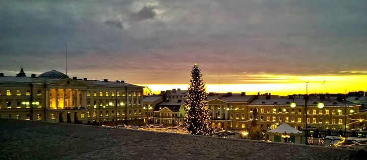 Senaatintorille tuleva joulukuusi pääsee keskeiselle paikalle Tuomiokirkon viereen.