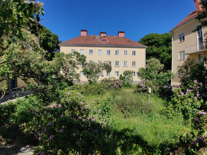 Historically valuable buildings on Hangonkatu.