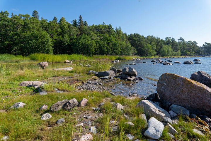 Merenrantaa Pikku Niinisaaressa.