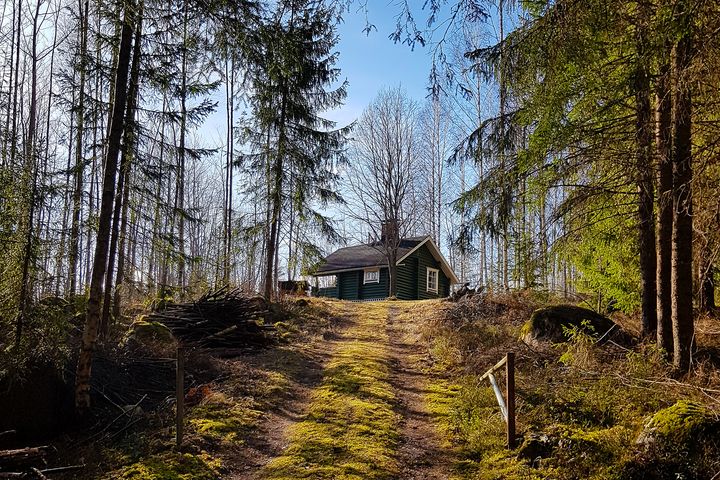 Mökki metsäpolun päässä keväisessä metsässä.