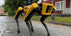 Alt text: "VAMK's new yellow robot dog walking on a stone pathway near Teachnobothnia building."