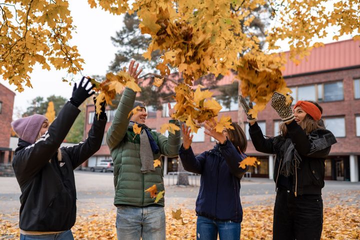 Neljä ihmistä heittelemässä syksyn lehtiä ilmaan ulkona.