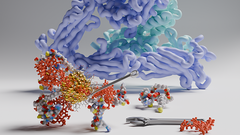 Kuva 1. Bioconjugate Chemistry -lehden kansikuva 10/2024. Visualisointi kuvaa peptidi- ja lääkeainemolekyyleillä muokatun kultananopartikkelia ja integriiniproteiinia. Grafiikka: María Francisca Matus Jyväskylän yliopistosta.