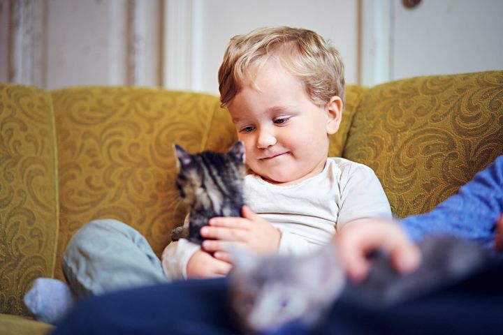 Lapsi istuu sohvalla kissa sylissään ja hymyilee.