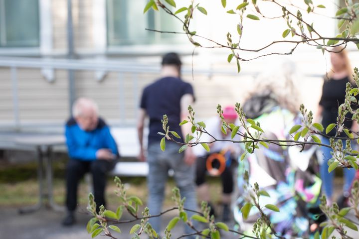 Etualalla keväällä kukkimaan alkamassa olevan pensaan oksia, taustalla kehitysvammaisten Schjerfbeck-koti ja ryhmä ihmisiä istuskelemassa penkeillä.