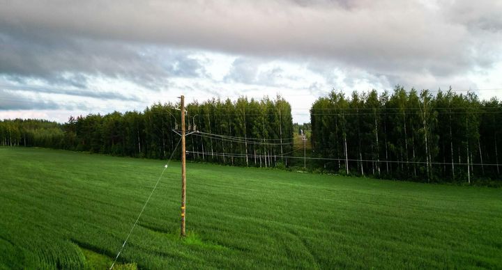 Sähkölinja metsän reunassa ja johtokatu.