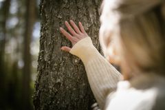 Henkilö koskettaa puunrunkoa metsän keskellä.