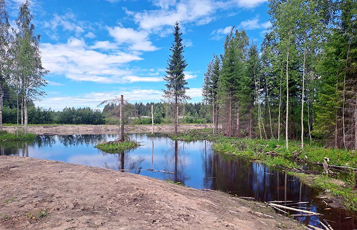 Ylivieskaan rakennettu kosteikko, jonka ympärillä on puustoa ja keskellä pieni saareke.