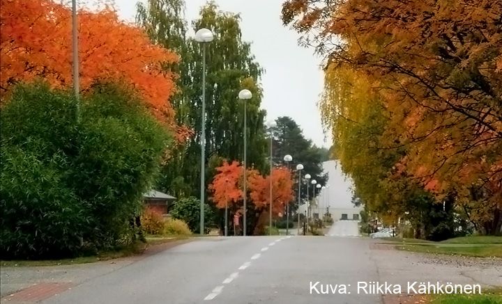 Ruskan värjäämiä puita kadun molemmin puolin.