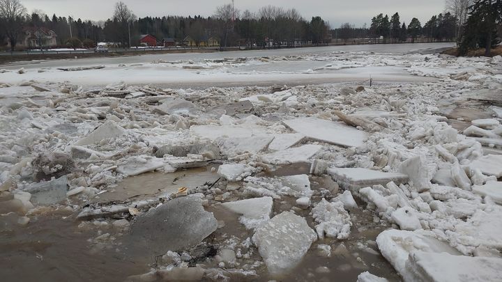 Från hängbron i Merikart. Foto: NTM-centralen i Södra Österbotten