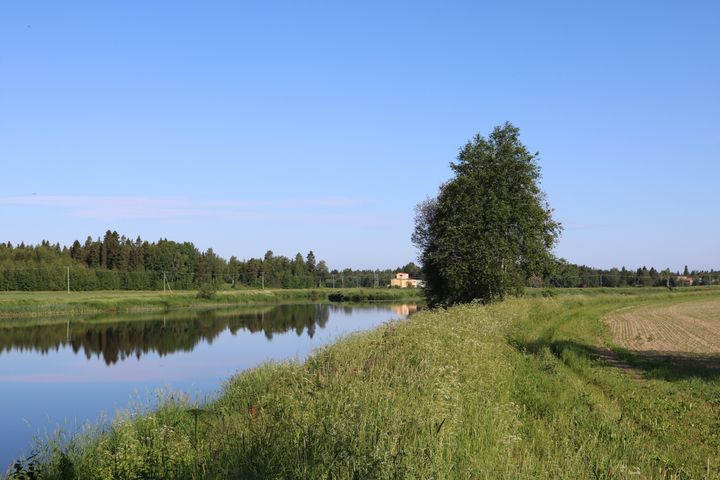Jokimaisema, jossa sininen taivas ja vihreän niityn reunustama joki, jonka varrella kasvaa puita.