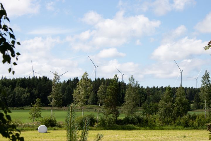 Flera vindkraftverk i ett grönt landskap med skog och fält under en molnig himmel.