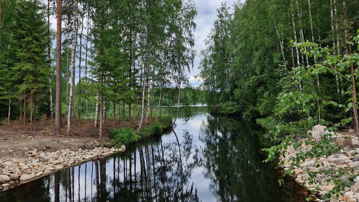 Tästä kuvasta näkyy metsäinen maisema, jossa on rauhallinen, peilityyni veden pinta, jota ympäröivät vehreät puut ja pensaikko.