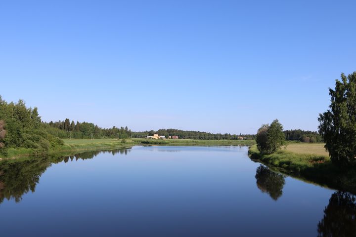 En lugn flod som rinner genom ett landskap med träd och ängar under en klarblå himmel.