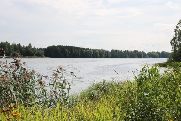 Kuvituskuva. Pitkämön tekojärvi syyskuussa 2024.